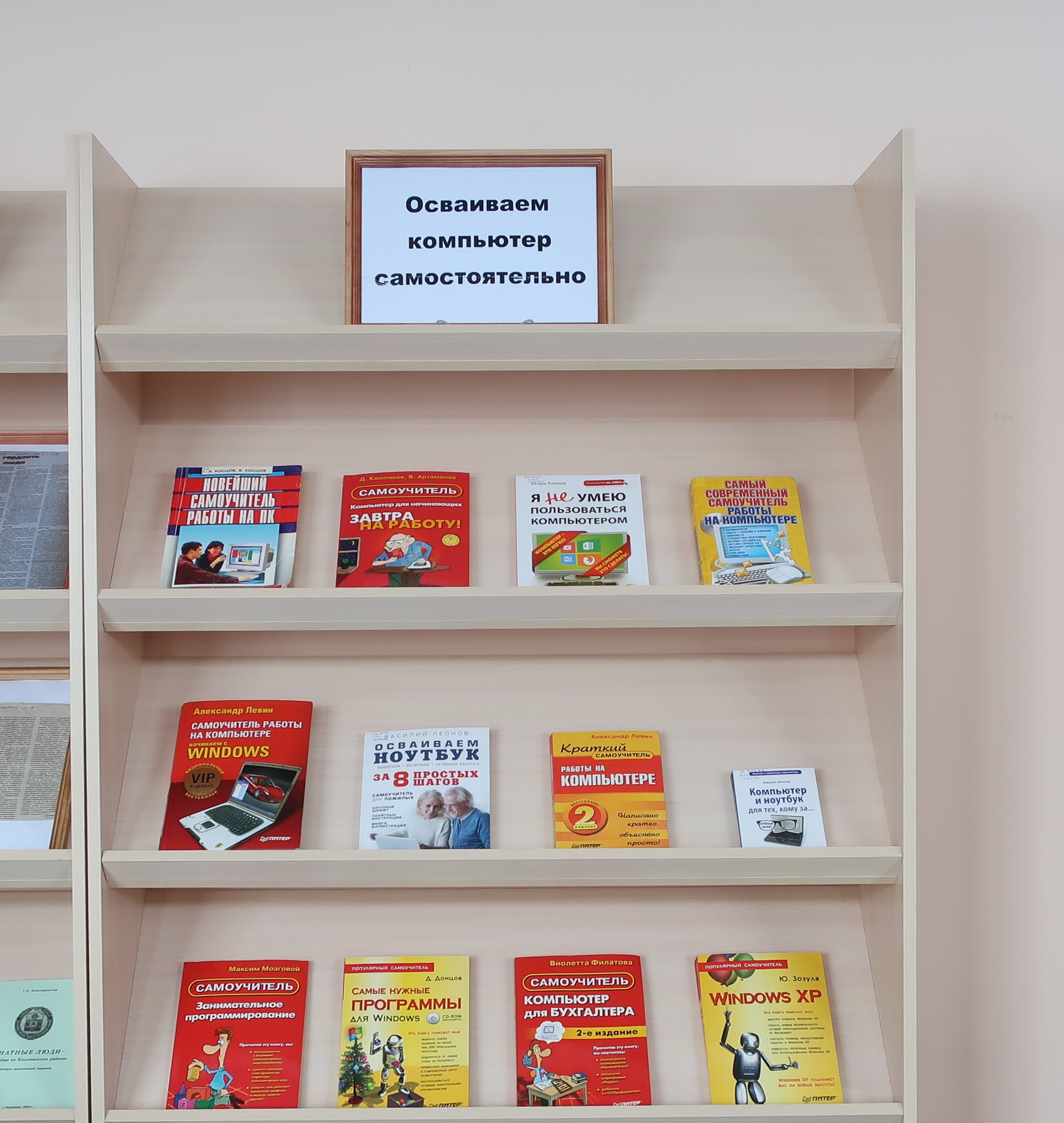 09.03.2021 В межпоселенческой библиотеке книги в помощь будущим пользователям ПК