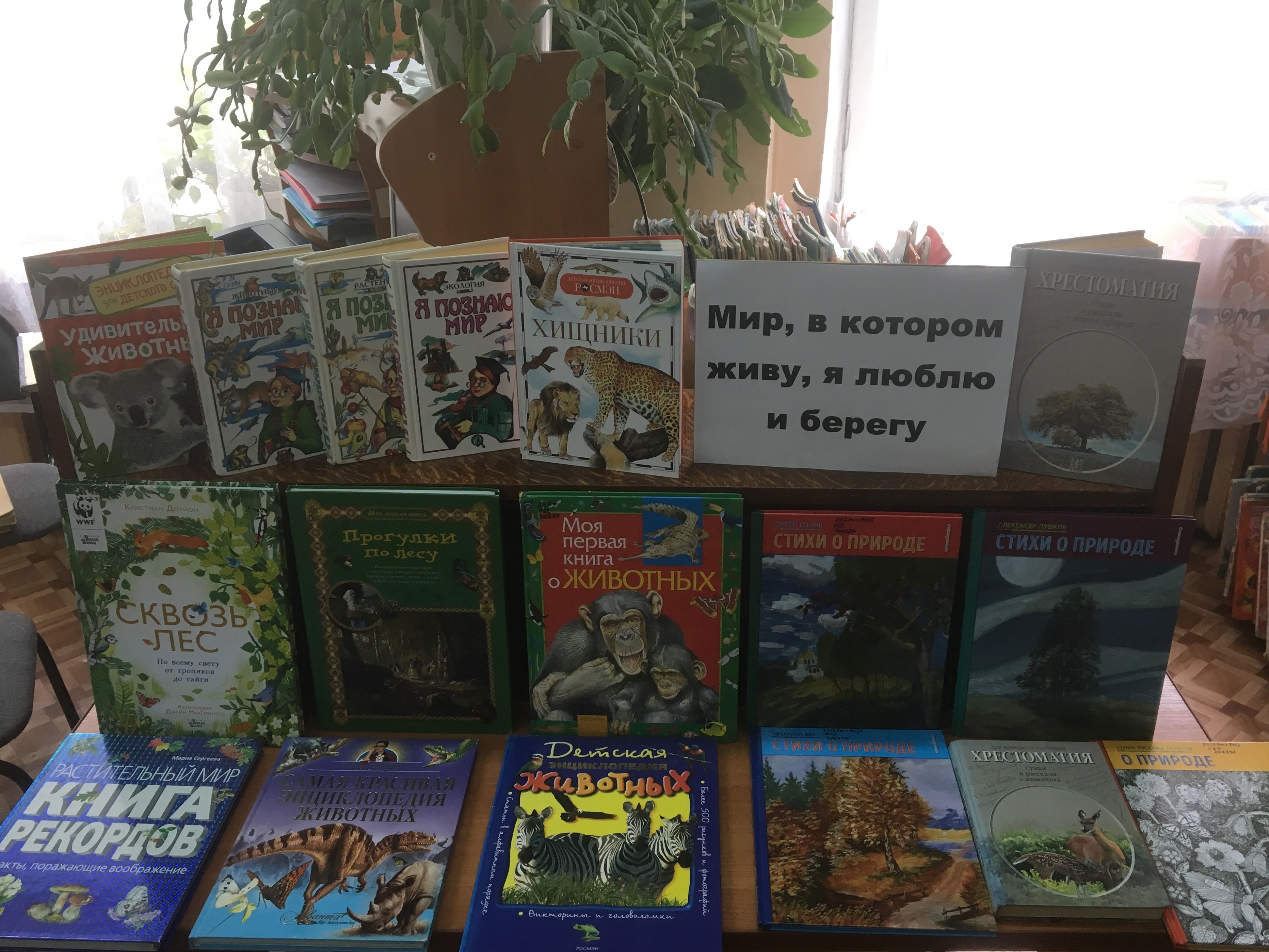 23.08.2021 Эковыставка в детском отделе