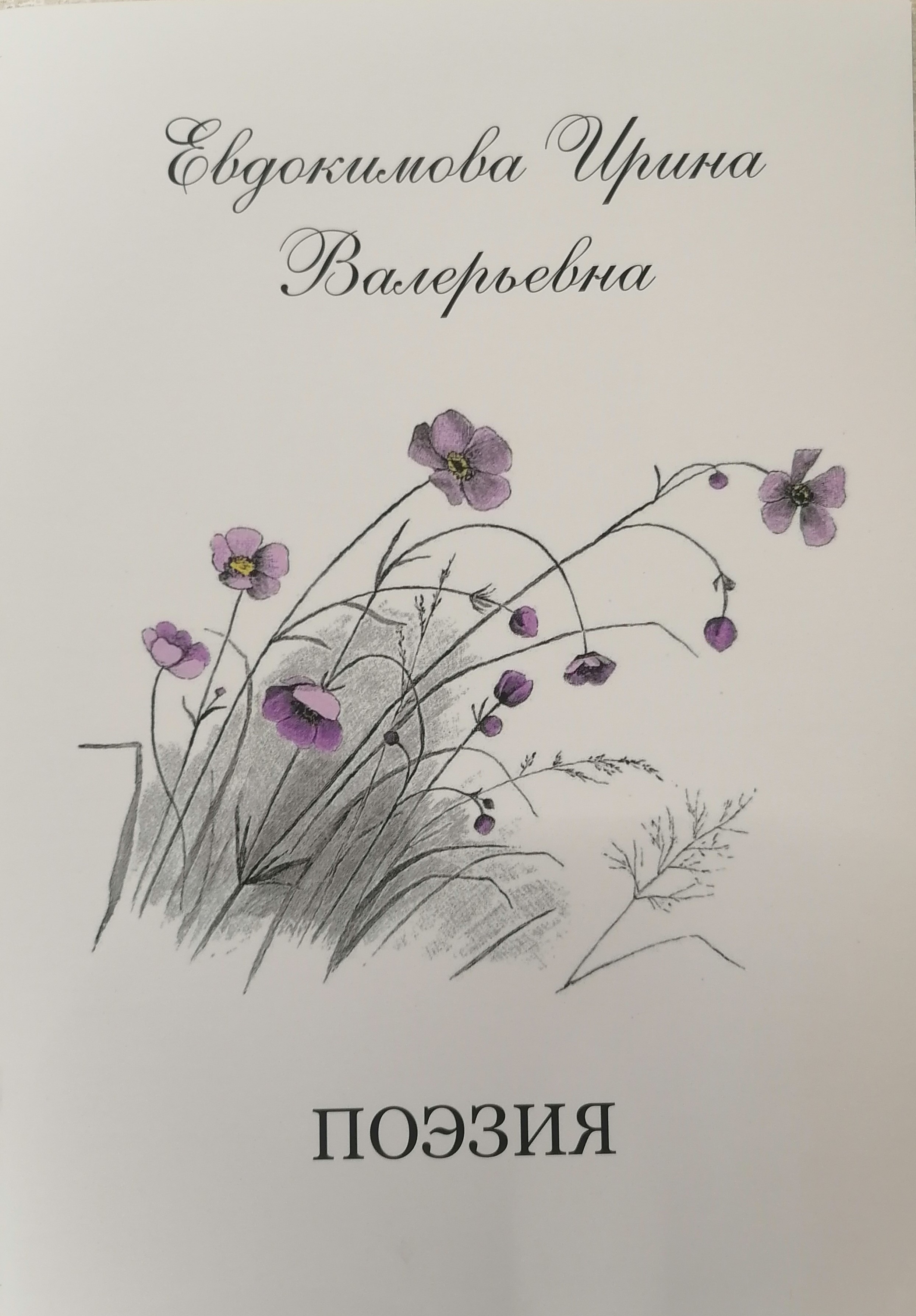 04.02.2025   Книги в дар